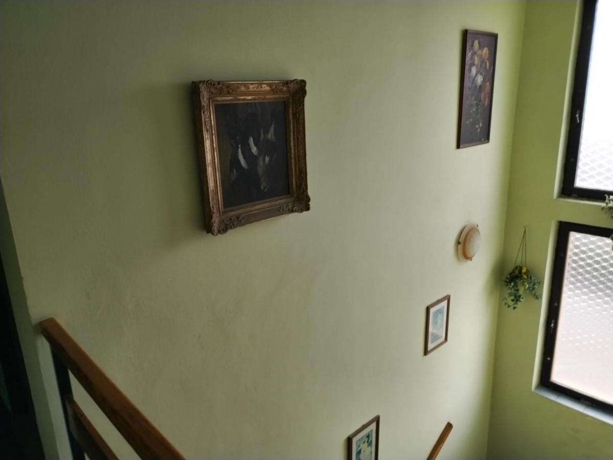 Pension Sparta Prague Extérieur photo